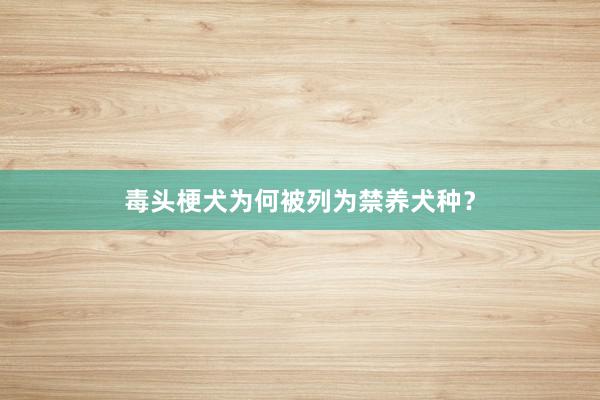 毒头梗犬为何被列为禁养犬种？